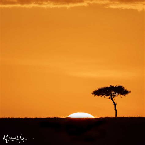 Sunrise Masai Mara | HI Travel Tales