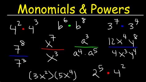 Multiplying And Dividing Monomials Worksheet – Imsyaf.com