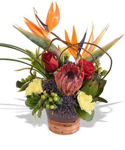 About Best St Louis Florist - Walter Knoll Florist, Saint Louis MO Same Day Delivery, Flower ...