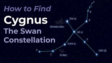 Observing the Constellation Cygnus | Science Facts