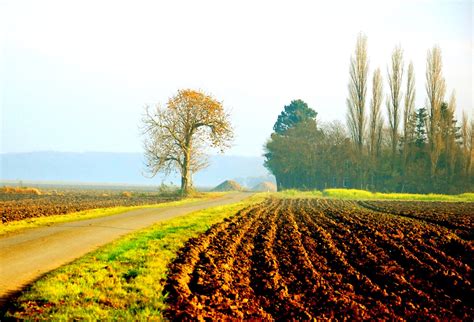 Agriculture at Denmark | Landscape, Country roads, Denmark