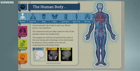 The Human Body Game - The Human Body