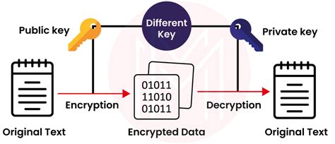 What is RSA Algorithm? | How does an RSA work? - MindMajix