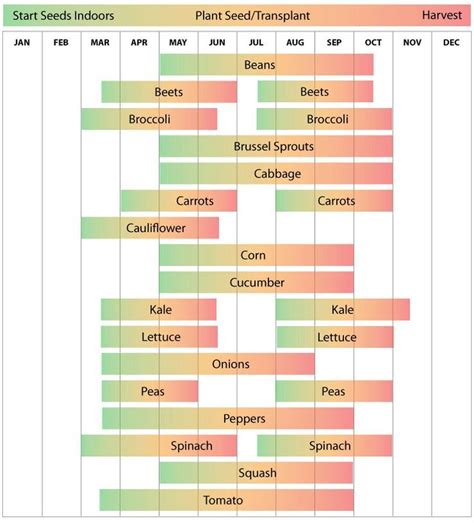 Arkansas Vegetable Planting Calendar