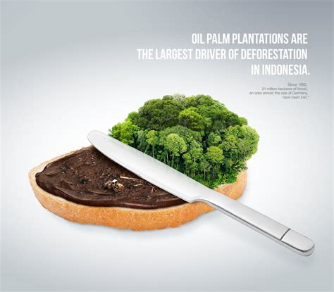 Palm oil and deforestation – Artofit