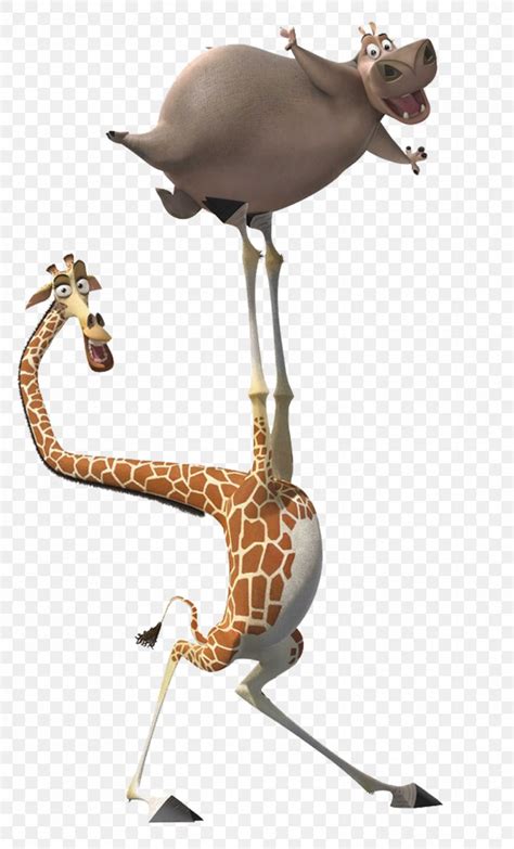 Melman Gloria Alex Marty Madagascar, PNG, 1011x1673px, Melman, Alex, Animation, Drawing ...