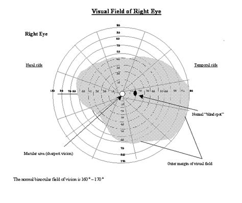 Visual Field Testing