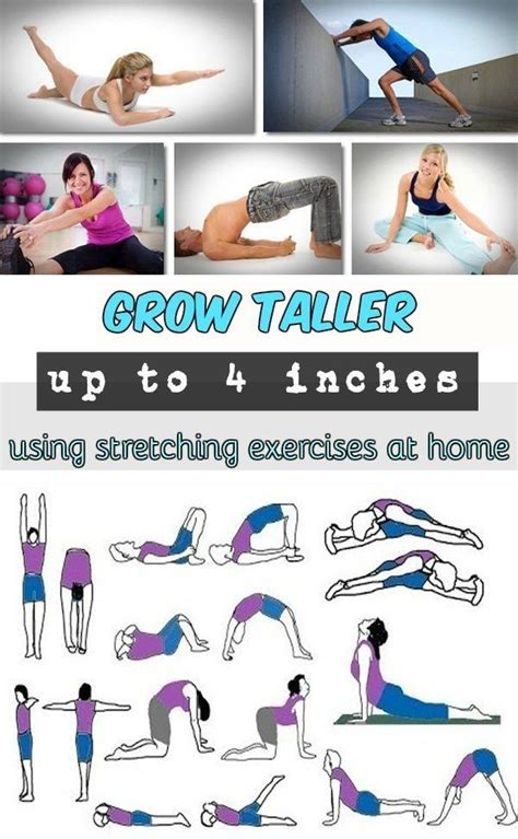 Pin by Gabriela Piantini on b | Increase height exercise, Get taller exercises, Taller exercises