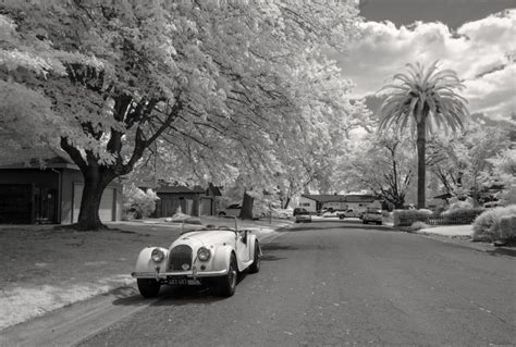 Free Images : tree, snow, black and white, car, flower, morgan, 4 ...