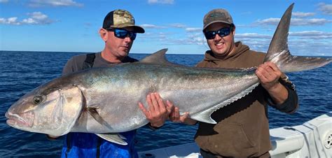 Fish Rules - Amberjack, Greater in FL Atlantic State Waters