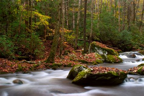 14 Best Places To Experience Fall In Tennessee - Southern Trippers