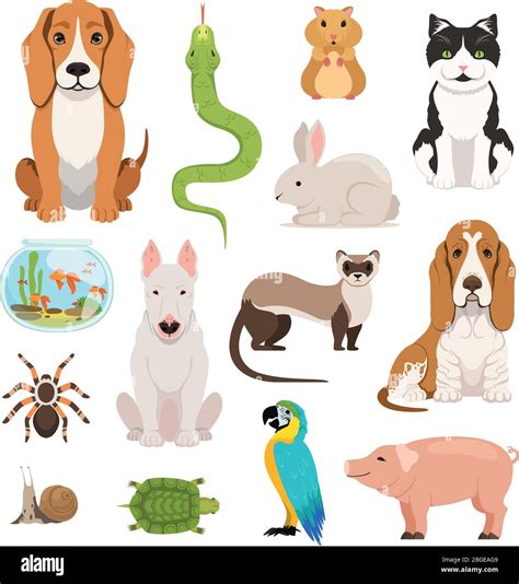 Huge List Of Pets And Different Types Of Pets With Pictures, 41% OFF