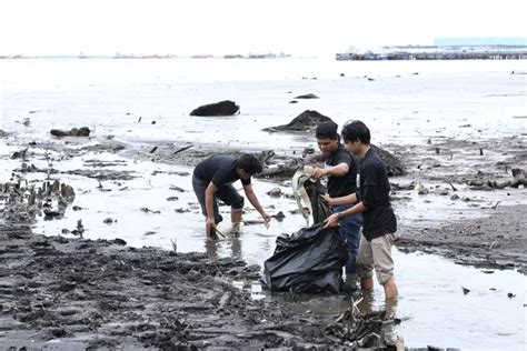 Pentingnya Bersih-bersih Pantai! Untuk Menjaga Keindahan Dan Kebersihan Lingkungan - Akurat