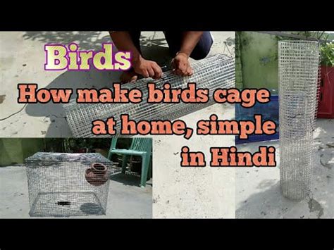 How make birds cage at home in hindi | making birds cage | love birds cage | birds Cage - YouTube