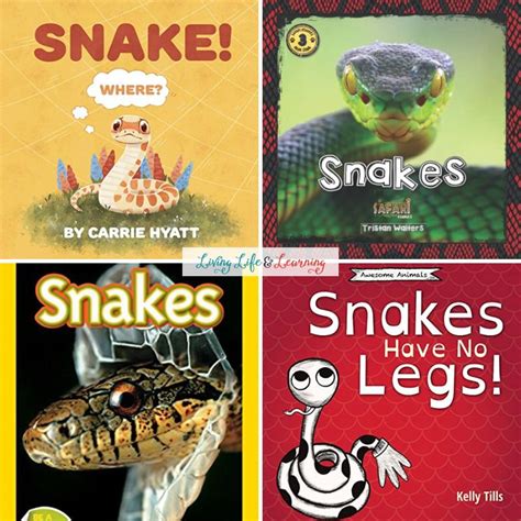 Snake Books for Kindergarten