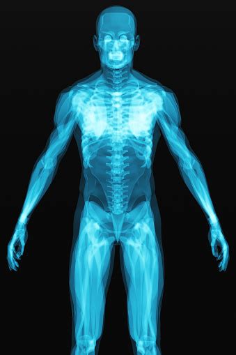 Xray Scan Of The Human Body Stock Photo - Download Image Now - iStock