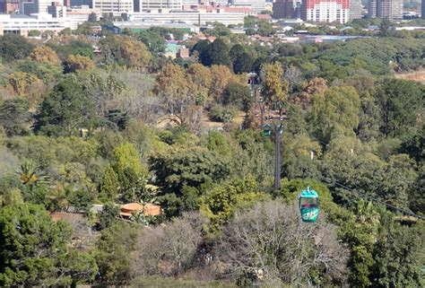 Pretoria Image: Pretoria Zoo – May 2012 021