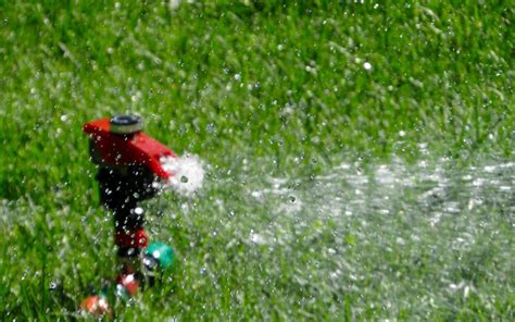 Watering New Turf Grass Sod - Payne Sod Farm