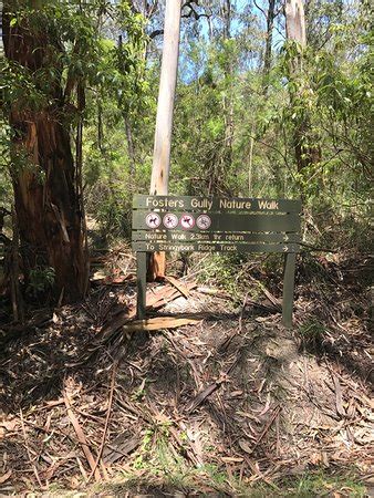 Morwell National Park (Jeeralang Junction) - 2020 All You Need to Know ...