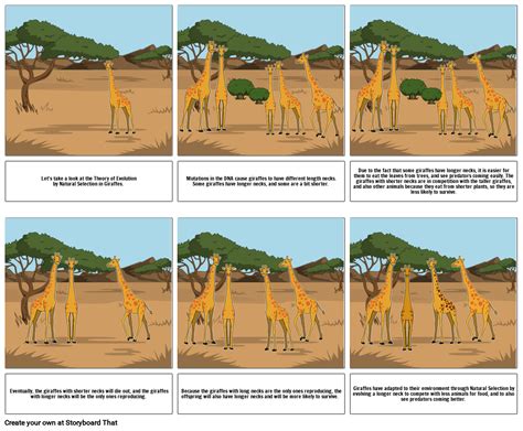 Natural Selection of Giraffes Storyboard by 5e9d48f9