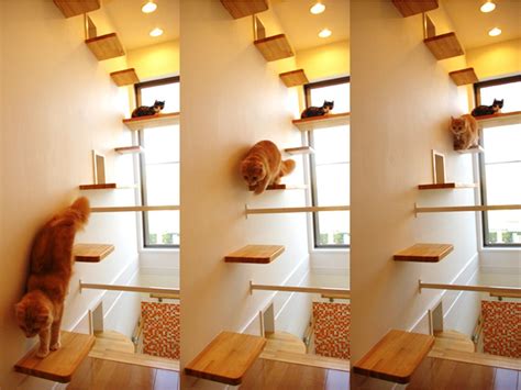 Under The Stairs Cat House at Frances Martinez blog