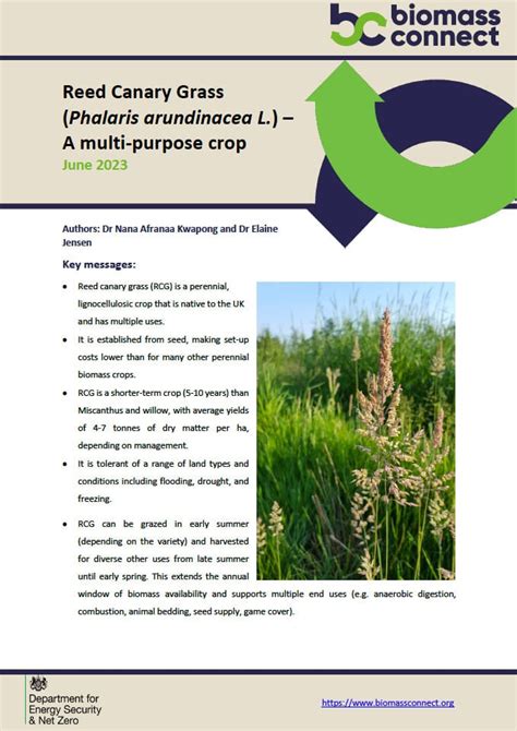 Reed Canary Grass as a Biomass Crop