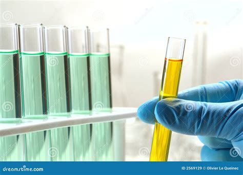 Laboratory Test Tubes In Science Research Lab Royalty Free Stock Images ...