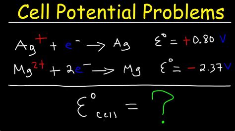 Cell Potential Problems - Electrochemistry - YouTube