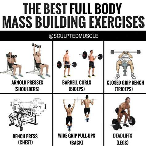 THE BEST FULL BODY MASS BUILDING EXERCISES by @sculptedmuscle ...