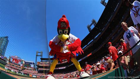 St. Louis Cardinals TV ratings on Bally Sports Midwest see steep drop ...