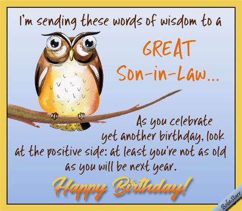 Happy Birthday Son In Law Funny Quotes - ShortQuotes.cc