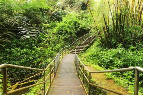 How to Visit Gorgeous Akaka Falls State Park (+ Map)