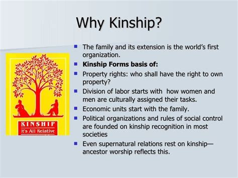 🎉 Kinship definition anthropology. Kinship: Meaning, Types and Other Details. 2019-03-01