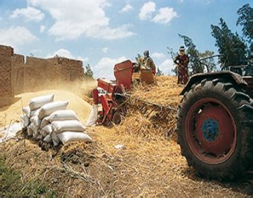 IDB to assist Punjab government in agriculture projects | Agribusiness ...