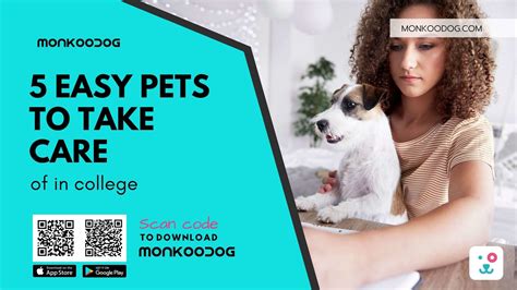 5 Easy Pets to Take Care of In College - Monkoodog