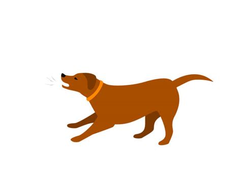 Barking Dog Illustrations, Royalty-Free Vector Graphics & Clip Art - iStock