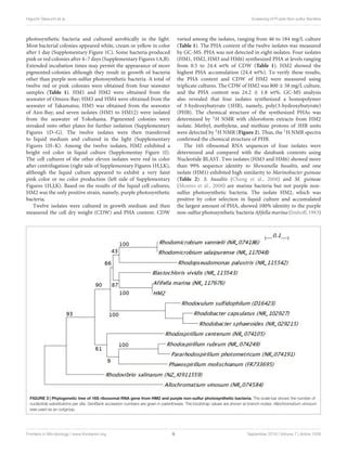 ESQUEMA MICROBIOLOGIA.pdf