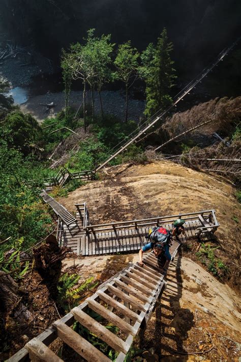 Canada's West Coast Trail Is a Beautiful Hike With a Horrifying History - Backpacker