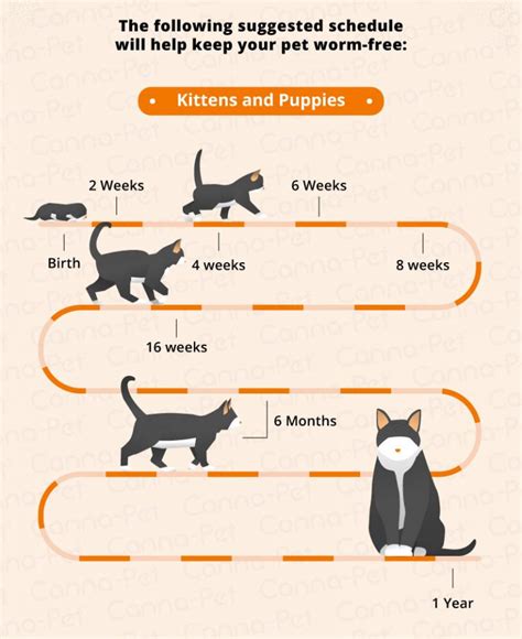 Worming Schedules for Cats & Dogs | Canna-Pet