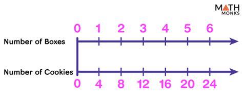 Double Number Line – Definition, Examples, Diagrams