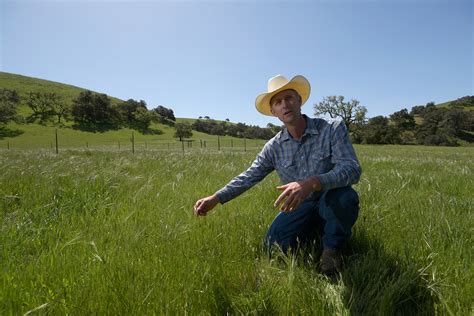 The Amazing Ability of Pasture Grass to Sequester Carbon - The Santa ...