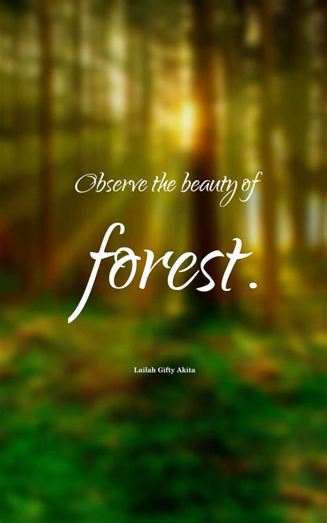 45 Inspirational Forest Quotes And Sayings