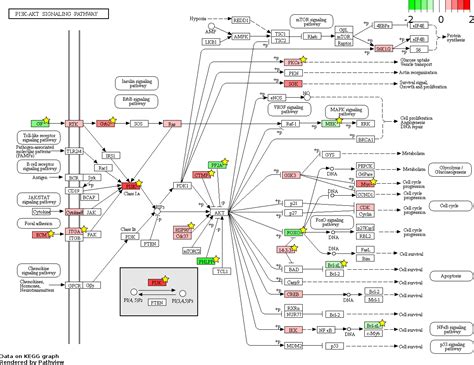 Comparison of gene expression profiles between human erythroid cells derived from fetal liver ...