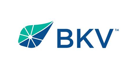 BKV-BPP Power, LLC Purchases Second Natural Gas Power Plant in Texas