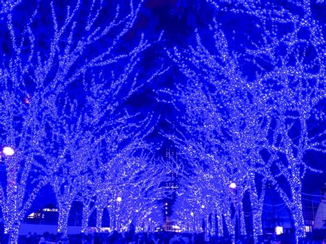 Shibuya Blue Cave in Tokyo | 1 minute traveller