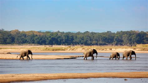 South Luangwa National Park | Asai Africa Safaris