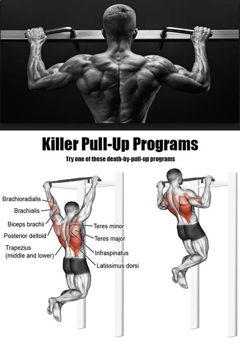 Triple Pull-Up | Muscle gain workout, Workout chart, Gym tips