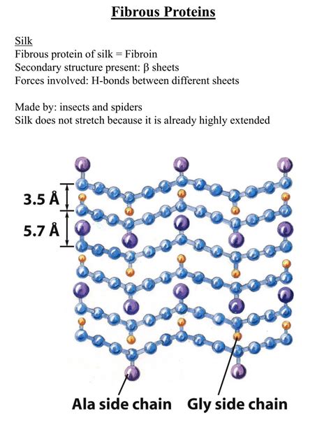 PPT - Structure of Proteins PowerPoint Presentation, free download - ID ...