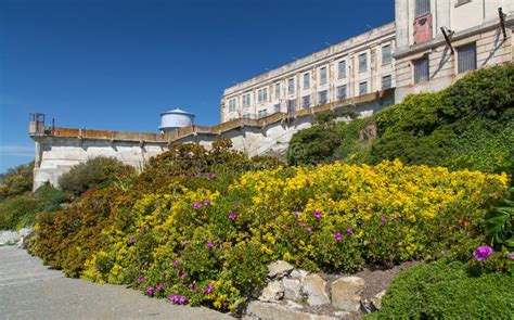 Prison Gardens at Alcatraz Island Prison Stock Image - Image of state, foliage: 29908999