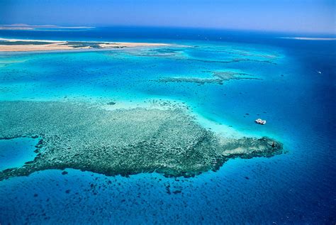 Red Sea Coral Reefs Photograph by Marcello Bertinetti | Fine Art America